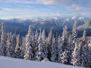 Thick snow blankets evergreen trees on a mountainside in the foreground. More forested valleys and snow-covered mountains can be seen in the distance.