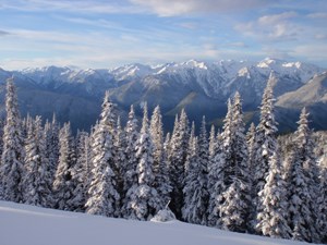 Hurricane Ridge in Winter