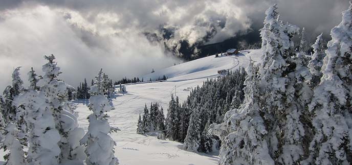 View of Hurricane Ridge in winter. View of Hurricane Ridge in winter.