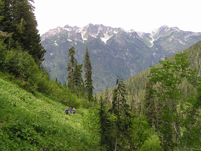 Two hikers descend a trail nearly enveloped by brushy growth. A valley can be seen further on, and snowy mountains rise far on the other side of the valley.
