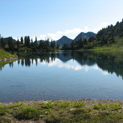 The meadowy shores of Lunch Lake.