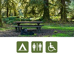 Campsite in North Fork Campground