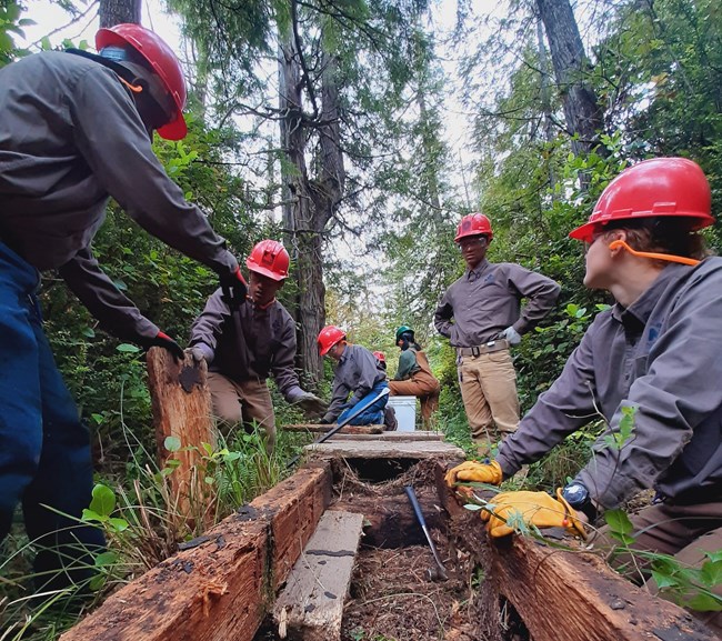 The Northwest Youth Corps Inclusion Crew replaces a damaged section of boardwalk along the Sand Point trail.