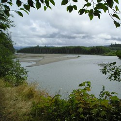 A wide river as viewed from its riverbank. A low, sandy island lies in the middle of the river. Trees line the far riverbank.