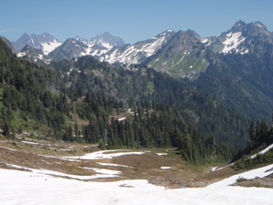 Snowy mountain peaks rise from the far side of a basin. Mixed forest and meadow make up the lower part of the basin. Patchy snow still remains in some of the meadows.