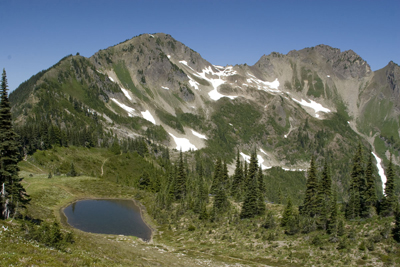A view from atop Appleton Pass. A subalpine lake lies shortly below, surrounded by a meadowy growth and short evergreen trees. A mountain ridge and peak rise in the background, dotted with many snowfields.