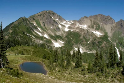 A view from atop Appleton Pass. A subalpine lake lies shortly below, surrounded by a meadowy growth and short evergreen trees. A mountain ridge and peak rise in the background, dotted with many snowfields.