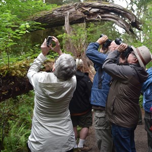 A group of photographers shooting an image.