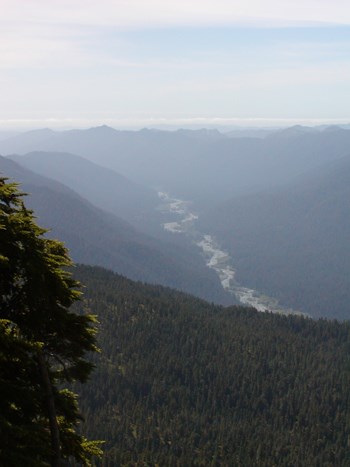 Queets River Valley from Skyline Trail