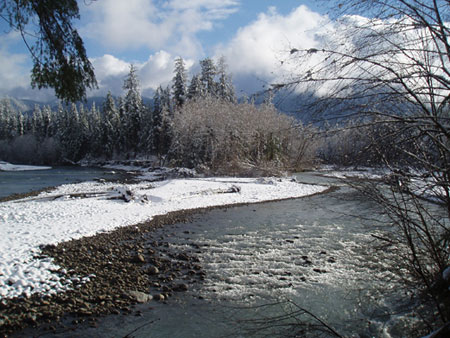 Queets river trail sale