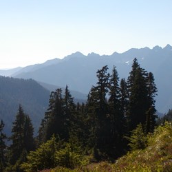 View from Skyline Trail