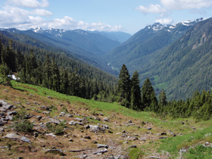 A view looking down a river valley from a meadowy slope above. The river valley is thickly forested.