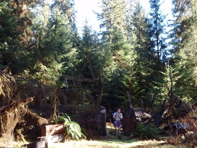 South Fork Hoh River