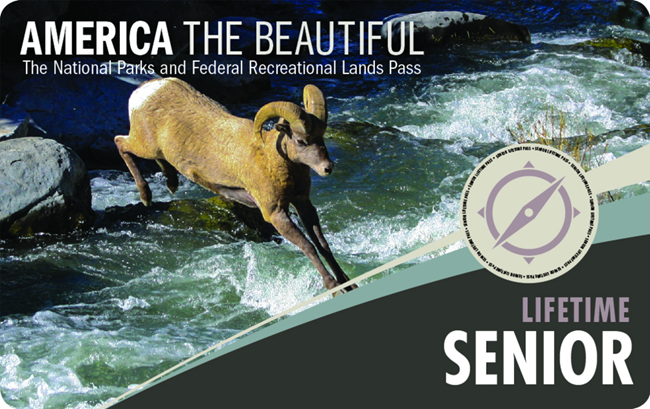 A Senior Lifetime Pass with an image of a ram jumping across a creek.