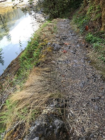 A narrow, rocky trail skirts just beside a river.