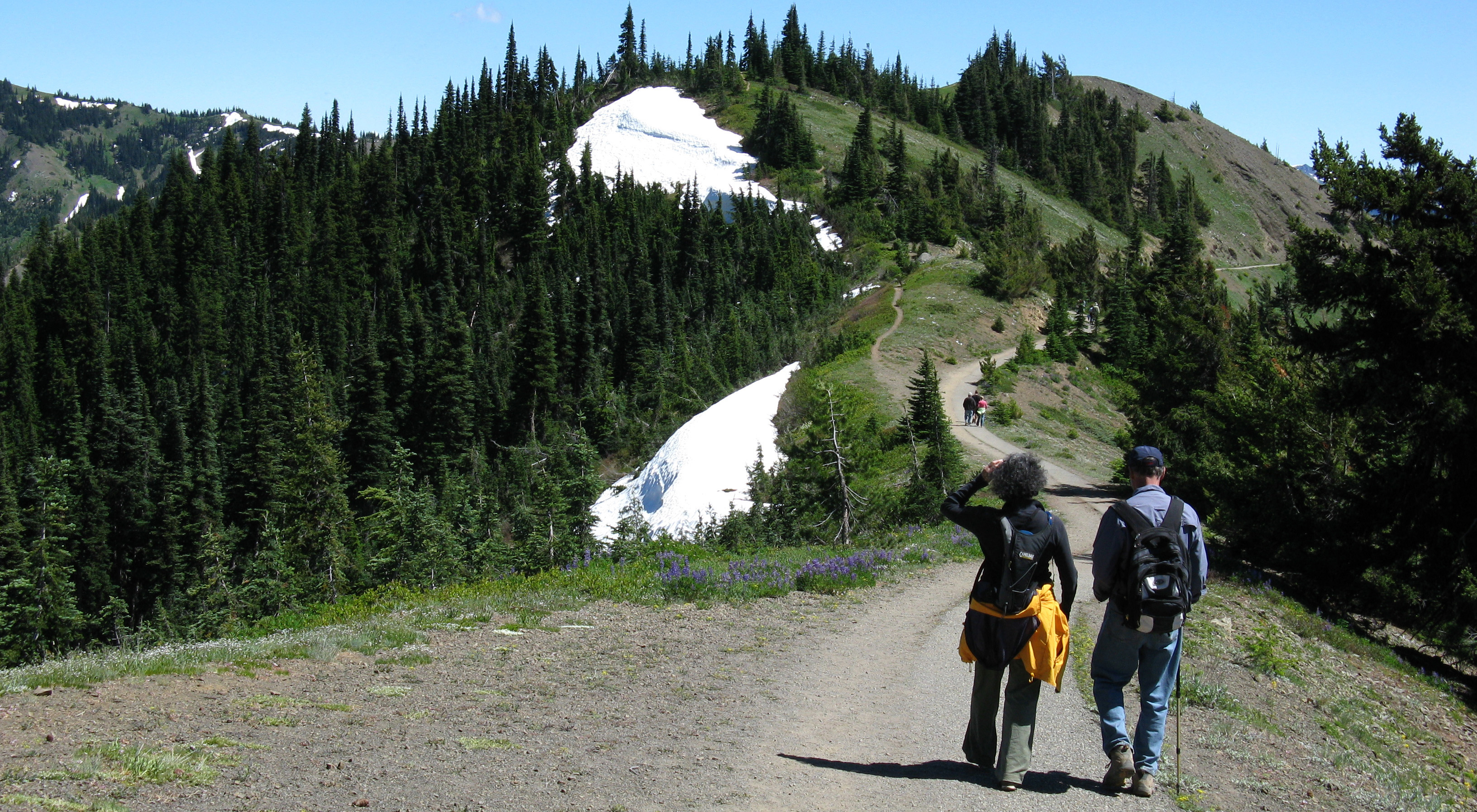 hikes olympic national park