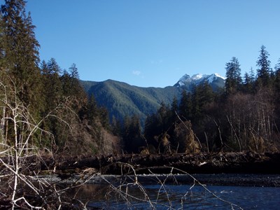 South Fork Hoh River Valley