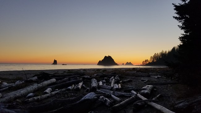 The sun sets over the ocean at Strawberry Point. Many driftwood logs lay scattered on the beach.