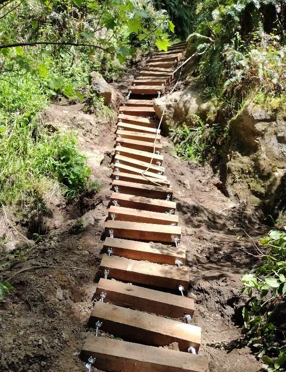 A steep, wooden trail ladder hanging against a muddy slope along the South Coast Route.
