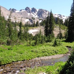 Upper Cameron Basin