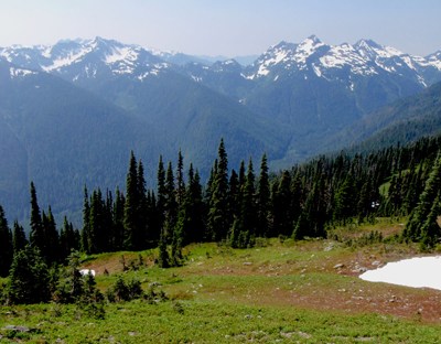 A mountain view. A meadow is bordered by evergreen trees in the foreground. In the background on the other side of a river valley are snowy mountain peaks.