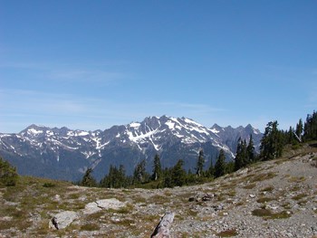 View from Skyline Trail