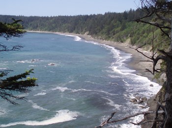 Looking north along Third Beach