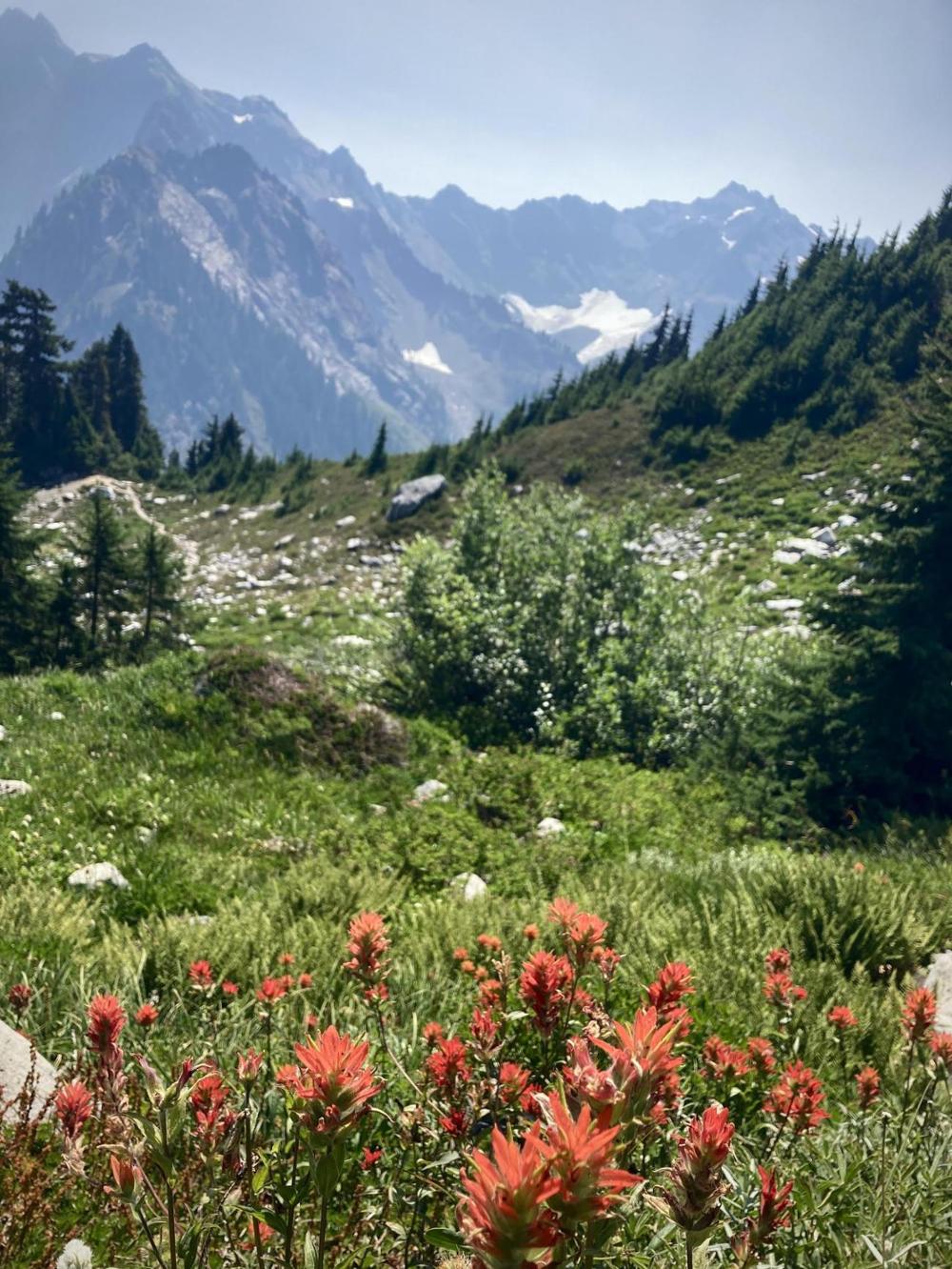 Wilderness Trip Planner Olympic National Park U.S. National Park Service