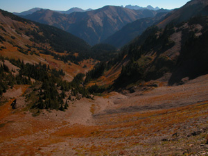 A view of a valley from the side of a ridge. The valley is partially tree covered, but mostly consists of short meadow grass and small, gravel sized scree.