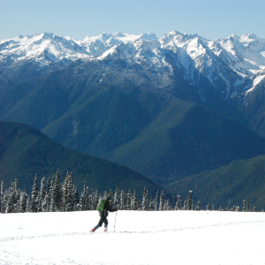 Cross-country skier with snow covered mountains in the distance