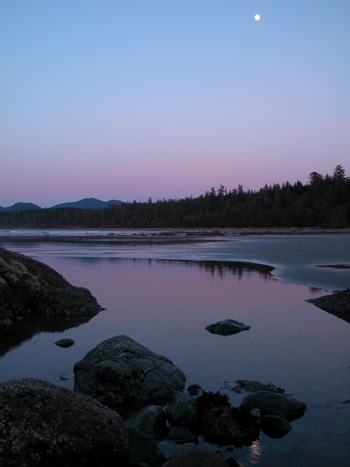 Sunset at Shi Shi Beach