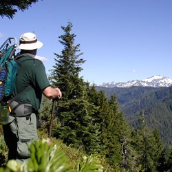 View from Little Divide