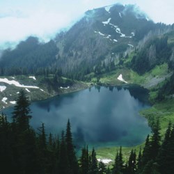 Hoh Lake, with a mix of meadow and forest making up its shores. A fog sits over the lake, giving this snapshot a particularly mysterious feeling.