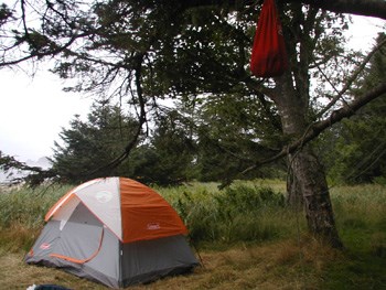 Illegal Food Storage at Cape Alava