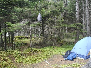 Illegal Food Storage on the Coast. $50 fine