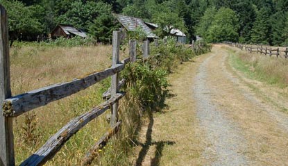 The Kestner homestead and orchard