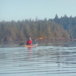 A kayaker on Lake Ozette. Thick trees grow on the shores of the lake.