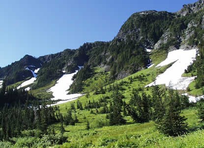 green meadows with clumps of evergreen trees and cliffs with snow patches in background