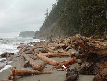 Rugged coast near Norwegian Memoria