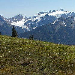 View of Mount Olympus from High Divide View of Mount Olympus from High Divide