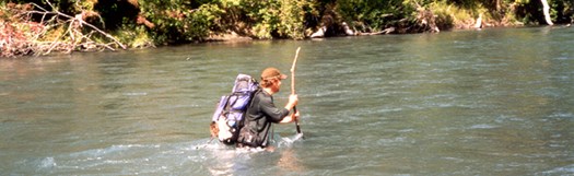 A hiker fording a river. The river is waste deep, and the hiker is using a hiking stick to stabilize himself.