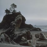 southcoast