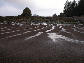 View north from Sand Point