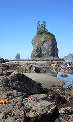 Tidepool with sea stack in background