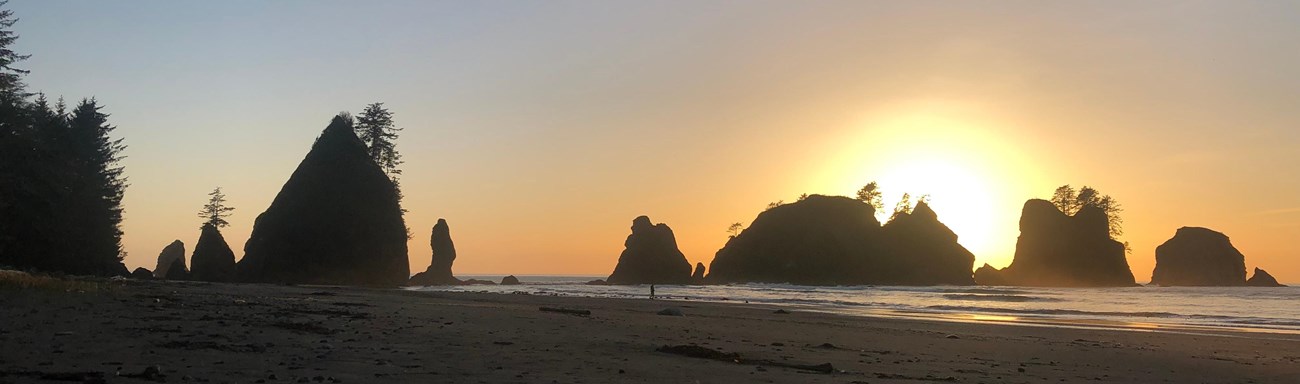 The sun sets over sea stacks at Shi Shi Beach.