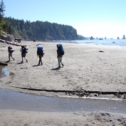 best beach hikes olympic national park