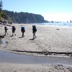 Four backpackers cross a small creek on a sandy beach. Sea stacks can be seen on the coast in the distance.