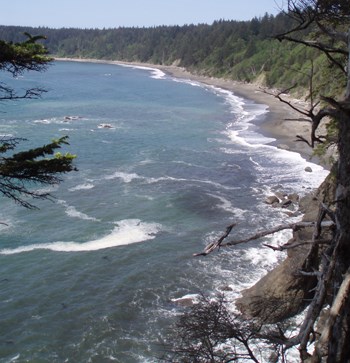 South Coast wilderness beach