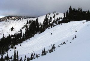 An avalanche near Hurricane Ridge