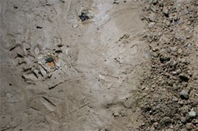 Cave sediment compaction